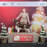 kerstshow_abby-1.jpg