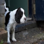 _dsc3267-standard.jpg