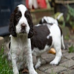 _dsc3647-standard.jpg