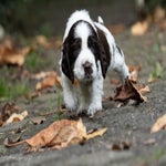 _dsc3650-standard.jpg