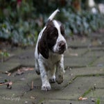 _dsc4059-standard.jpg