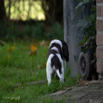 _dsc4254-standard.jpg