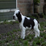 _dsc4279-standard.jpg