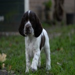 _dsc4344-standard.jpg
