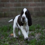_dsc4357-standard.jpg