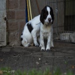 _dsc4380-standard.jpg