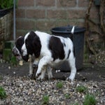 _dsc4395-standard.jpg
