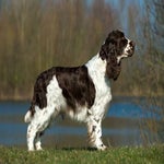 ESS-abby-0163-1.jpg