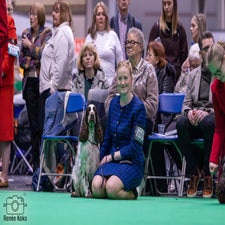crufts-2-standard-k5pofl.jpg