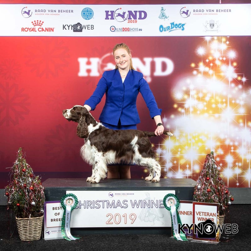 R_891_LR_KERSTWINNER_2019_KYNOWEB_KY3_8865_20191221_15_05_33-2.jpg