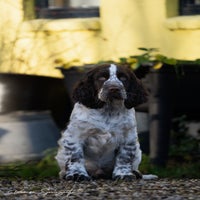 dsc06295-standard.jpg