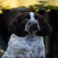 dsc06314-standard.jpg