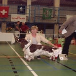 IMGP2224-2.jpg