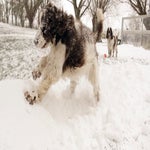 sneeuw2021-86.jpg