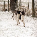 sneeuw2021-50.jpg