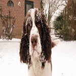 sneeuw2021-90.jpg