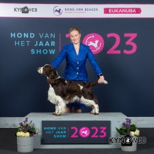 hvhj-2-standard-kpiya8.jpg