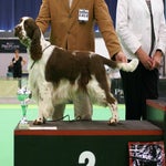 darwinbig2rotterdam-1.jpg