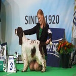DieselBIG3-1.jpg