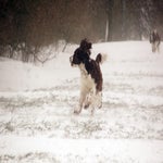 sneeuw2021-58.jpg