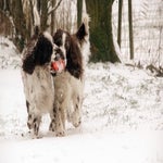 sneeuw2021-82.jpg