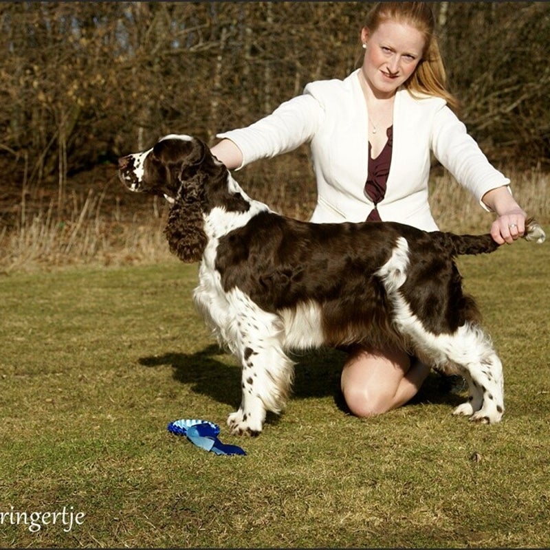 AbbyCrufts15.jpg