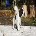 week5-grotewitte2.jpg