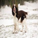 sneeuw2021-41.jpg