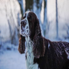 sneeuw-9-min-standard.jpg