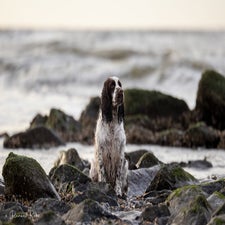 strand-1-min-standard.jpg