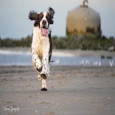 strand-6-min-standard.jpg