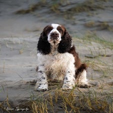 strand-8-min-standard.jpg