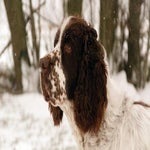 sneeuw2021-34.jpg