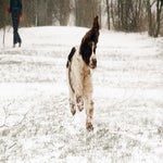 sneeuw2021-37.jpg