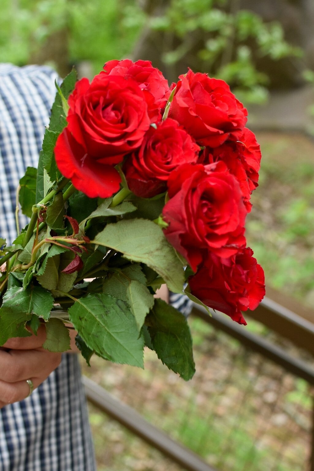 dsc_0414-standard.jpg
