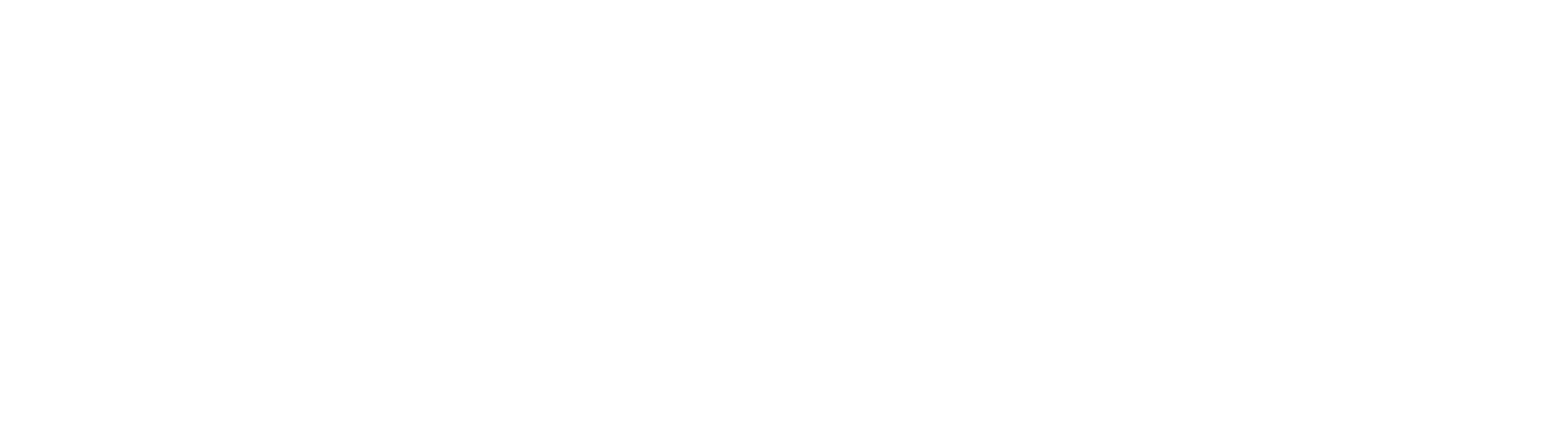 DVSA -  Authorised Driving Instructor  APPROVED - Certification Badge
