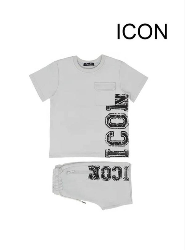 Icon zomerset a grijs