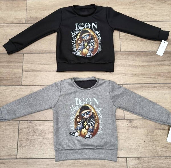 Icon longsleeves