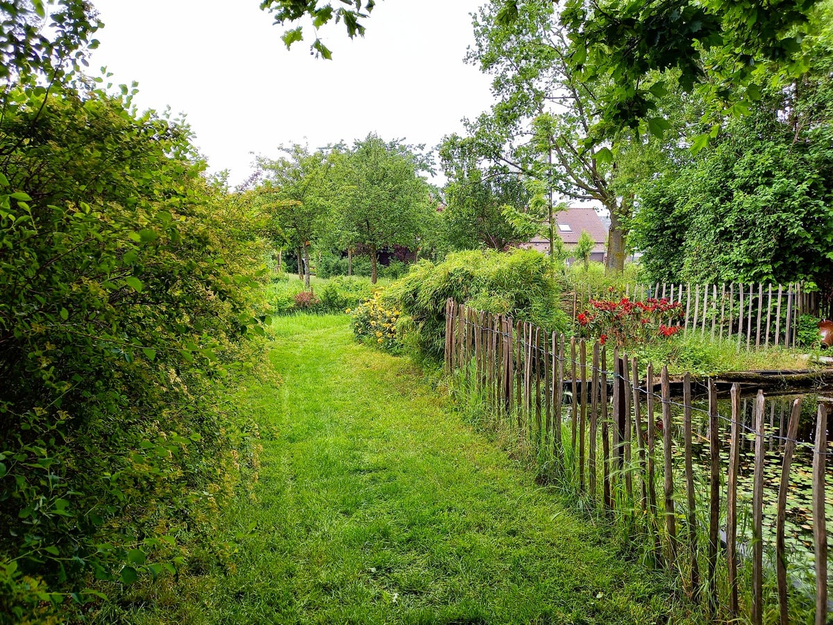 Tuincoach - Een tuin voor iedereen