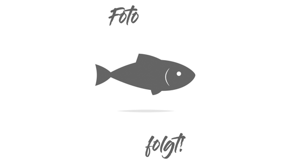 Forellenfilet