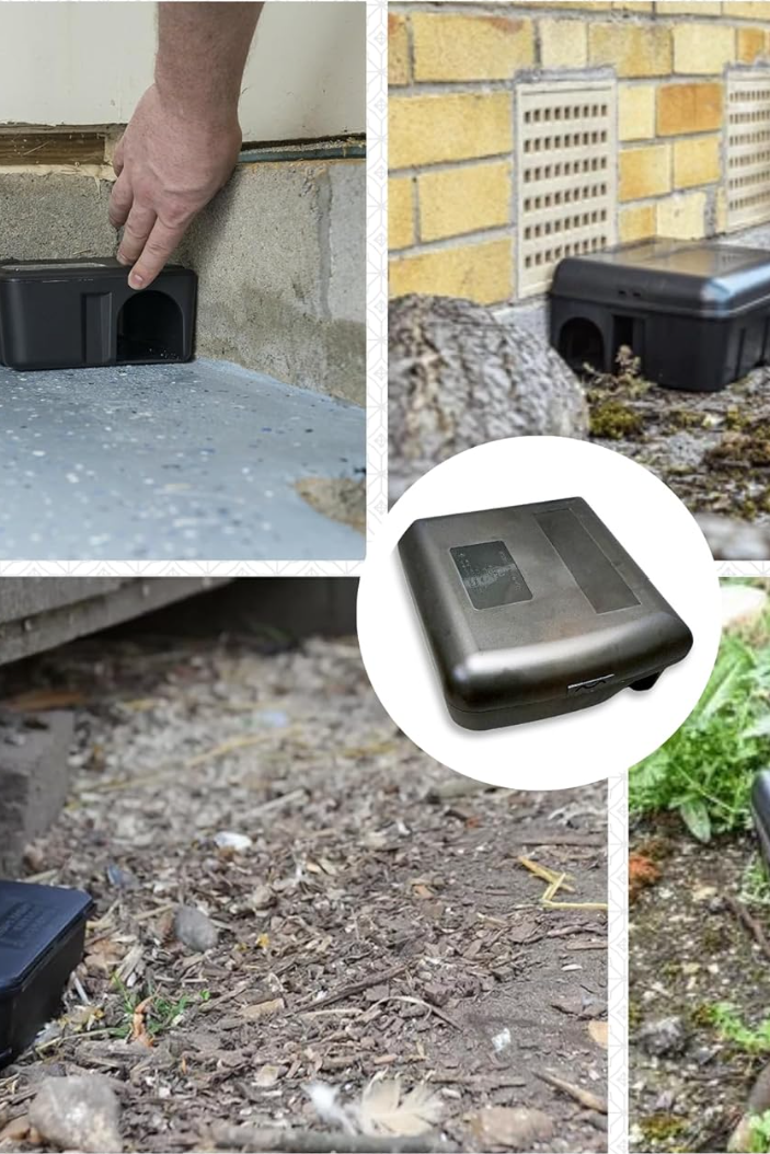 Rodent control bait station and monitoring setup