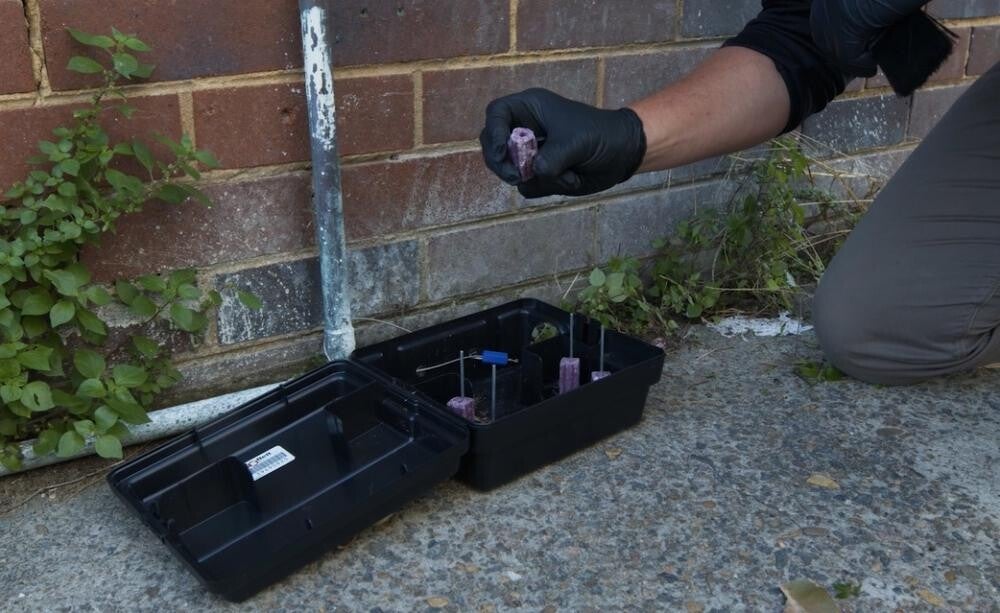 Billy checking a rodent bait station during a Pest Protect 365 service visit on the North Shore
