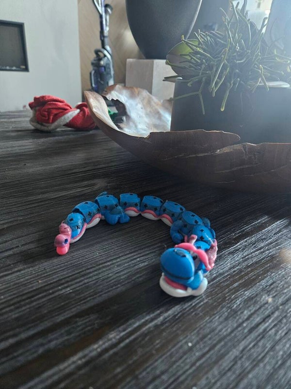Mario Wonder Dragon