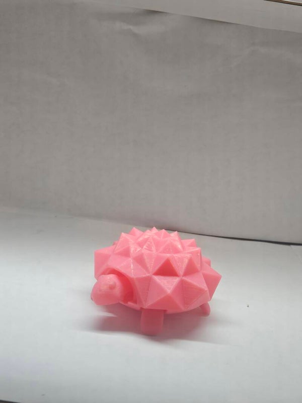Springy Turtle