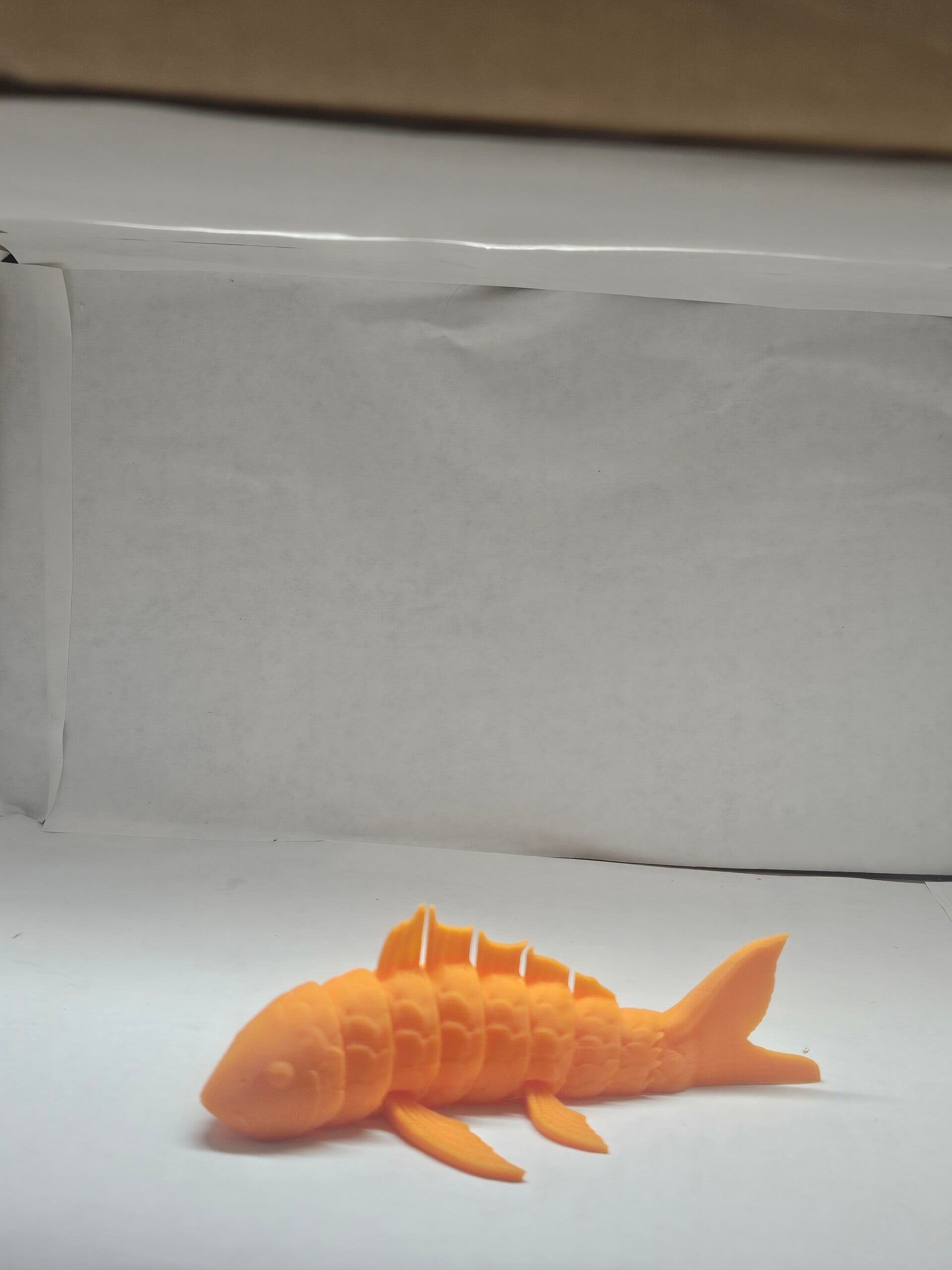 Koi fish
