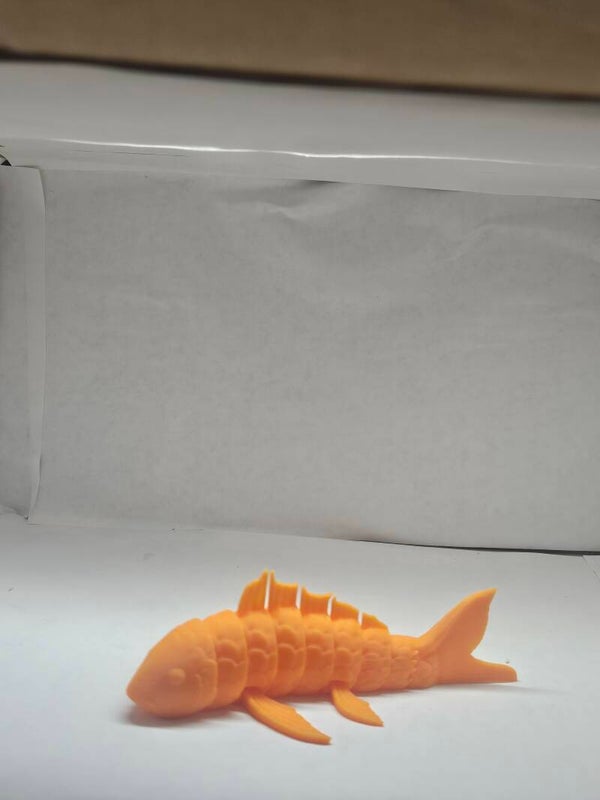 Koi fish