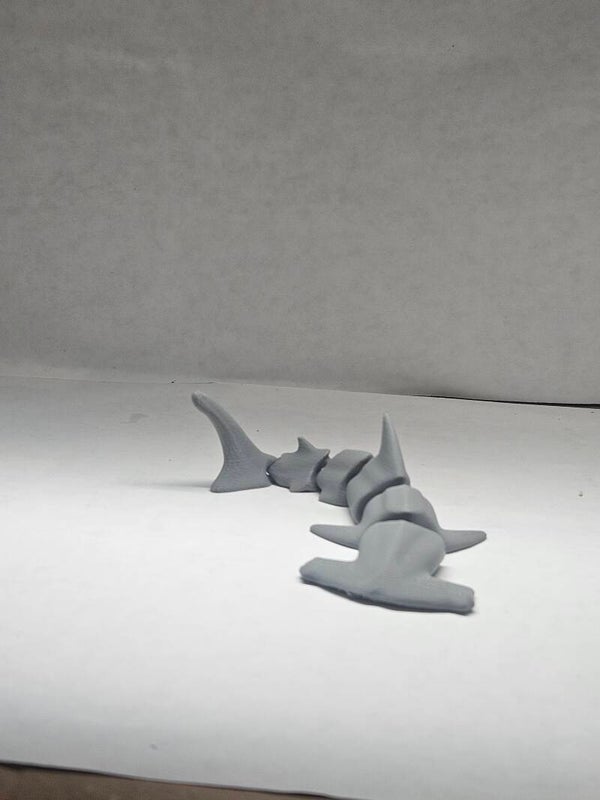 Hammerhead Shark