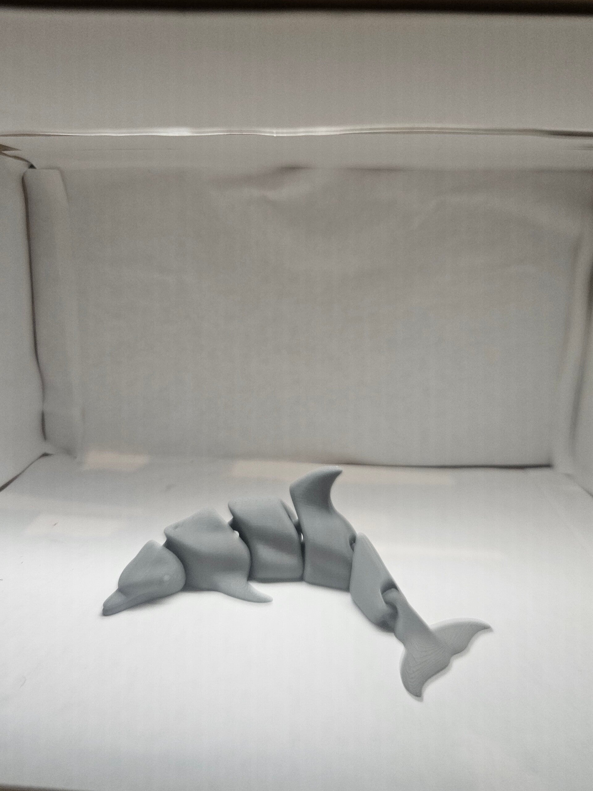 Dolphin