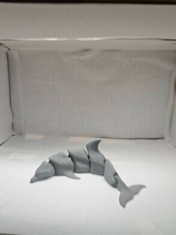 Dolphin