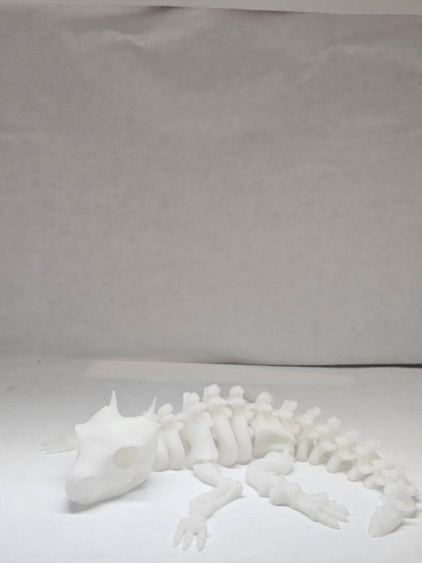 Skeleton Lizard